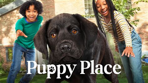 Apple TV+ reveals trailers for “Puppy Place” and “Get .